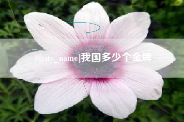 老河口我国多少个金牌
