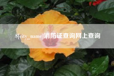 老河口消防证查询网上查询