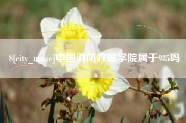 老河口中国消防救援学院属于985吗