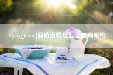 老河口消防资格证怎么查询系统