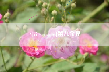 老河口第九金是