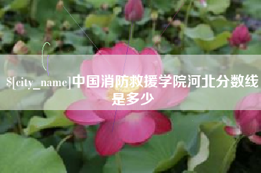 老河口中国消防救援学院河北分数线是多少