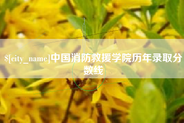 老河口中国消防救援学院历年录取分数线