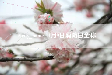 老河口11月9日消防日全称