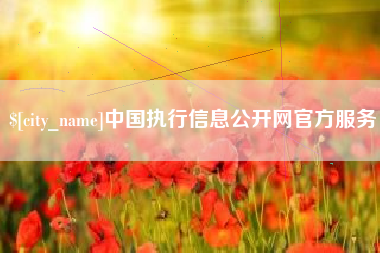老河口中国执行信息公开网官方服务