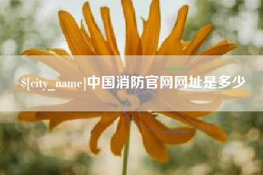 老河口中国消防官网网址是多少