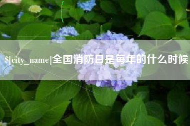 老河口全国消防日是每年的什么时候
