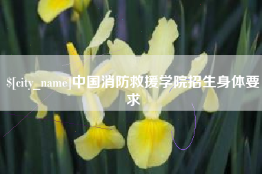 老河口中国消防救援学院招生身体要求