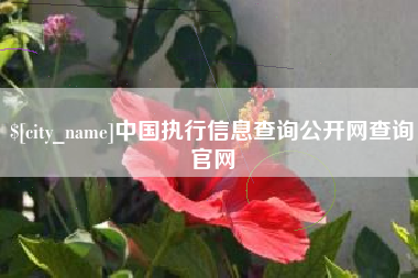 老河口中国执行信息查询公开网查询官网