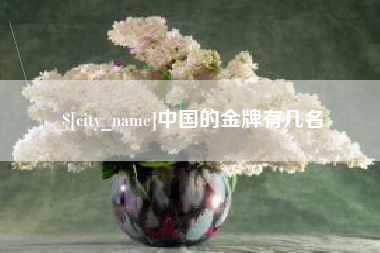老河口中国的金牌有几名