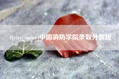 老河口中国消防学院录取分数线
