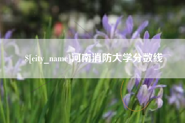 老河口河南消防大学分数线