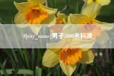 老河口男子5000米标准