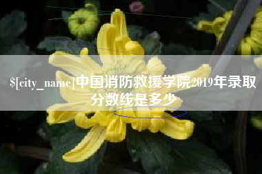 老河口中国消防救援学院2019年录取分数线是多少