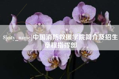老河口中国消防救援学院简介及招生章程指挥部