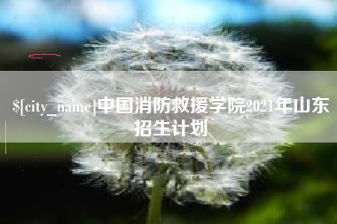 老河口中国消防救援学院2021年山东招生计划