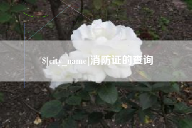老河口消防证的查询