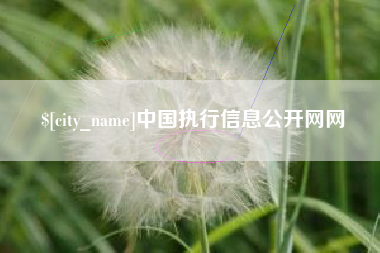 老河口中国执行信息公开网网