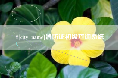 老河口消防证初级查询系统