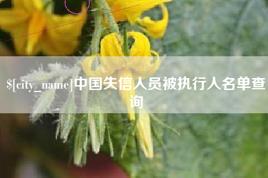 老河口中国失信人员被执行人名单查询