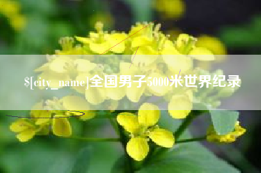 老河口全国男子5000米世界纪录