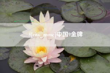 老河口中国9金牌