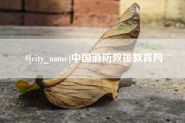 老河口中国消防救援教育网