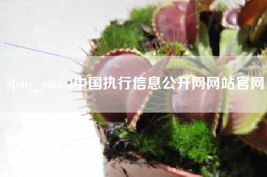 老河口中国执行信息公开网网站官网
