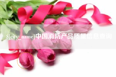 老河口中国消防产品质量信息查询
