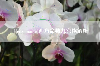 老河口西方命数九宫格解析