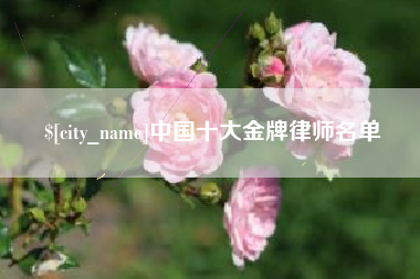 老河口中国十大金牌律师名单
