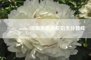 老河口河南消防学校招生分数线