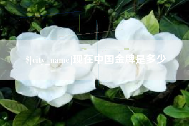 老河口现在中国金牌是多少