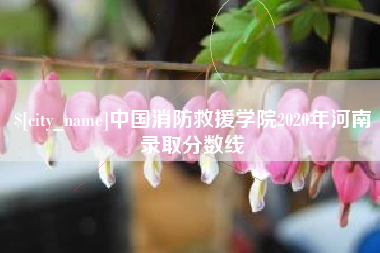 老河口中国消防救援学院2020年河南录取分数线