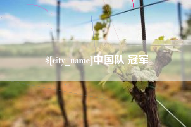 老河口中国队 冠军