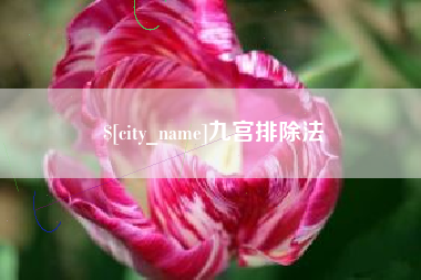 老河口九宫排除法