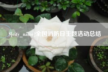 老河口全国消防日主题活动总结