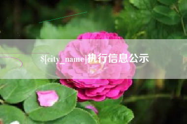 老河口执行信息公示