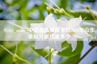 老河口中国消防救援学院2021年山东录取分数线是多少