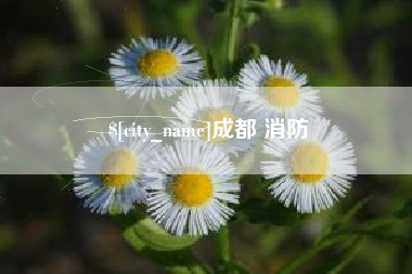 老河口成都 消防