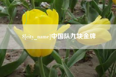 老河口中国队九块金牌