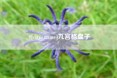 老河口九宫格盘子