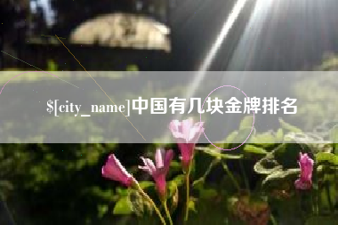 老河口中国有几块金牌排名