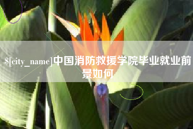 老河口中国消防救援学院毕业就业前景如何