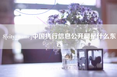 老河口中国执行信息公开网是什么东西