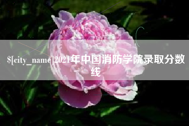 老河口2021年中国消防学院录取分数线