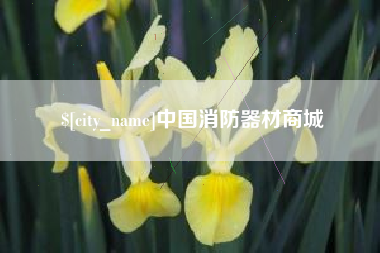 老河口中国消防器材商城