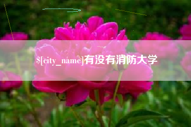 老河口有没有消防大学