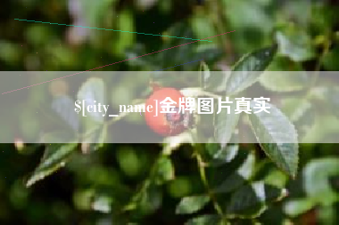 老河口金牌图片真实