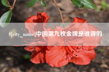 老河口中国第九枚金牌是谁得的